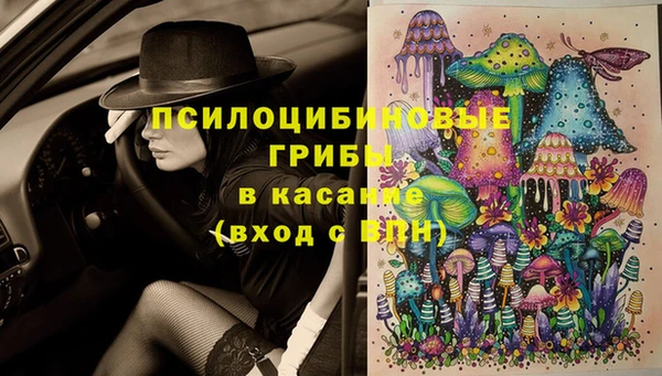 скорость Богданович