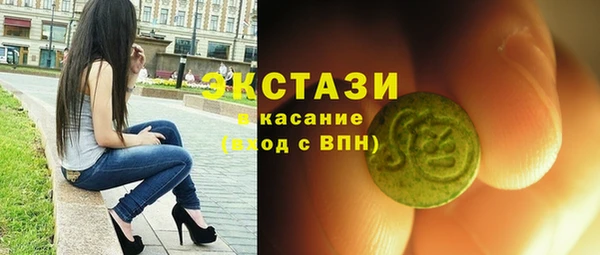 ECSTASY Богородицк